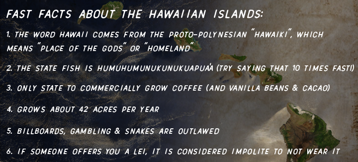 fast_facts_hawaii.png