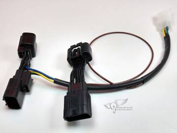 Isolator for 2018+ Gold Wing