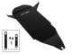 Image #7, Of Item: Black Belly Pan for 2018+ Gold Wing