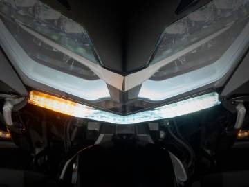 Goat-E™ Fairing Light