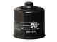 Black Oil Filter
