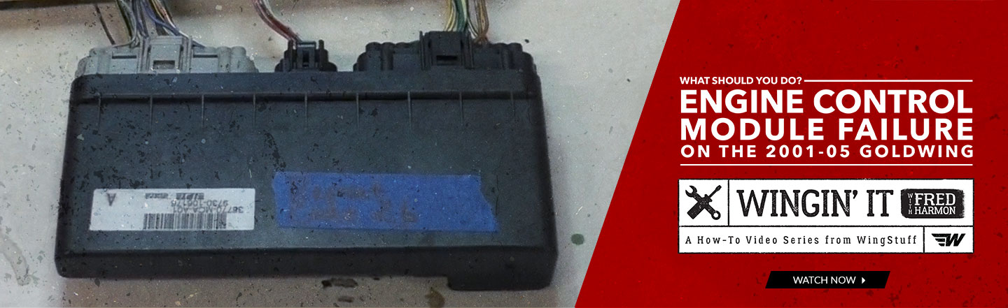 What Should You Do? Engine Control Module Repair on the 2001-05 Goldwing - Wingin' It with Fred Harmon