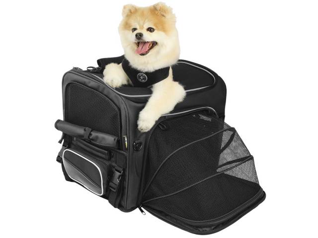 shiba inu carrier
