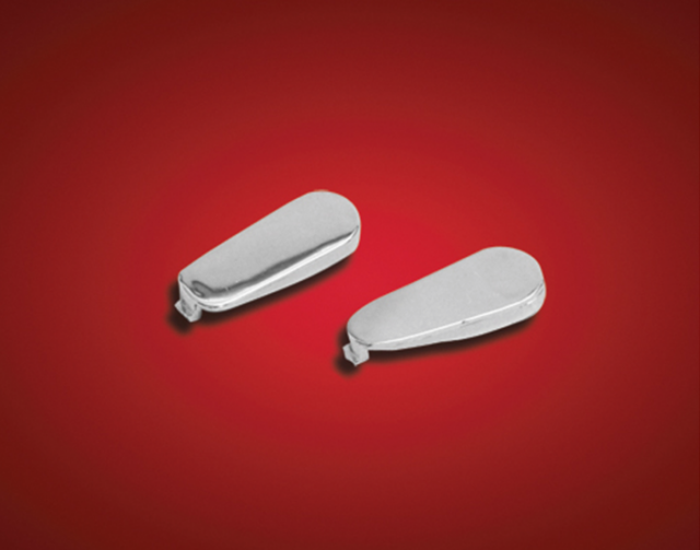 Image Of Item: Chrome Lower Fairing Plug Set