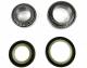 All Balls Steering Bearings for GL1800 & F6B