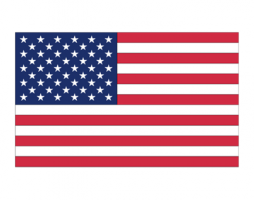 Rivco 6" x 9" American Flag
