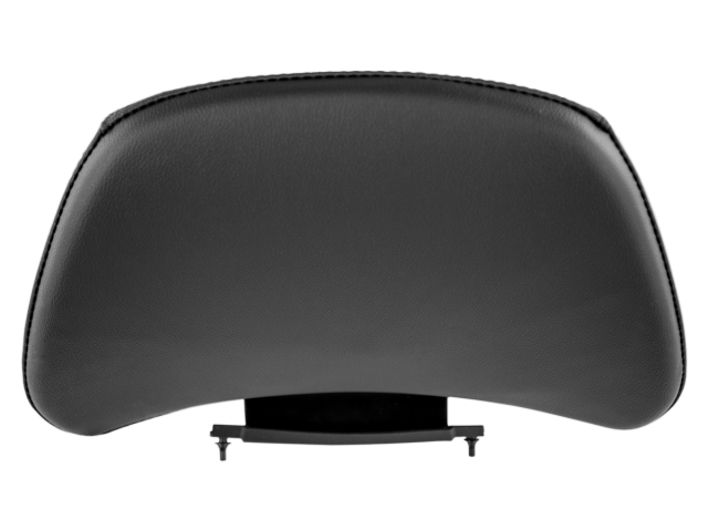 2018 goldwing passenger backrest